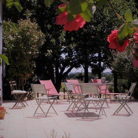 La Chartreuse Bed and Breakfast Larroque-Engalin Εξωτερικό φωτογραφία